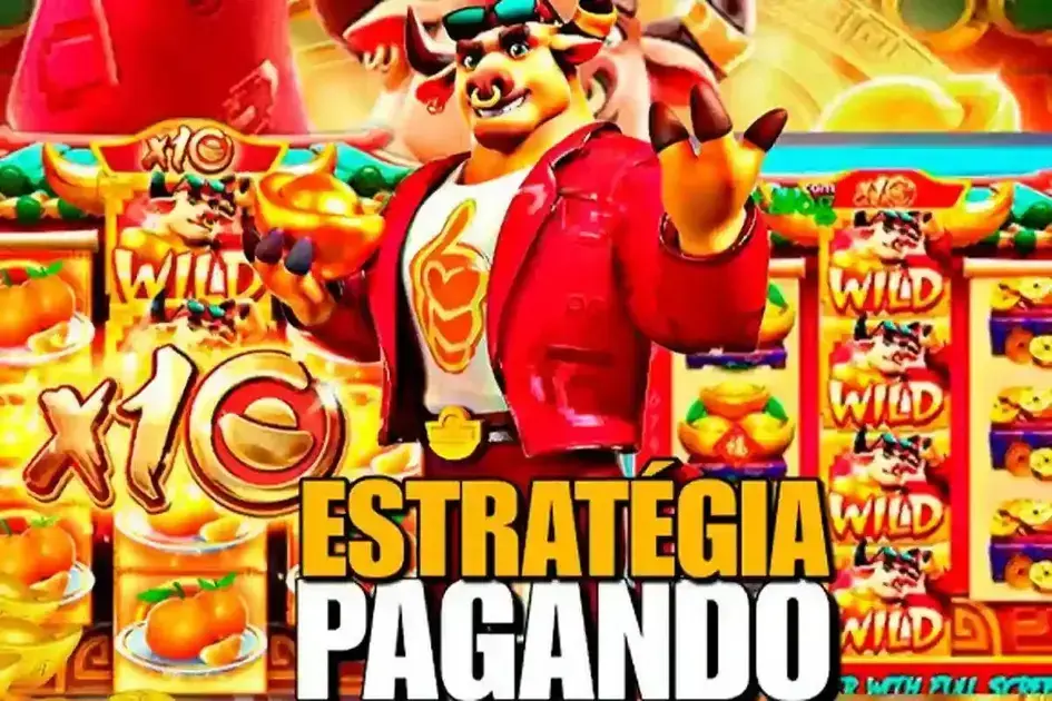 Interface e experiência: o que esperar da plataforma Interface e experiência: o que esperar da plataforma